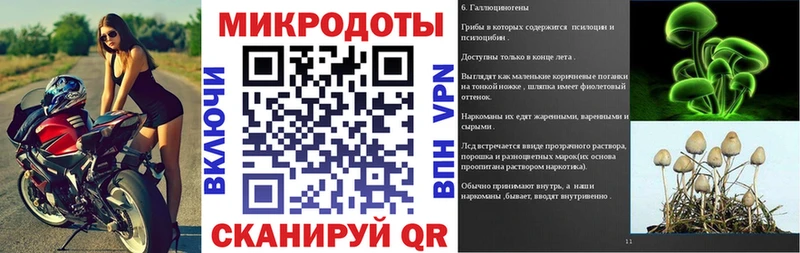 Галлюциногенные грибы мухоморы  Купить закладки  Алзамай 